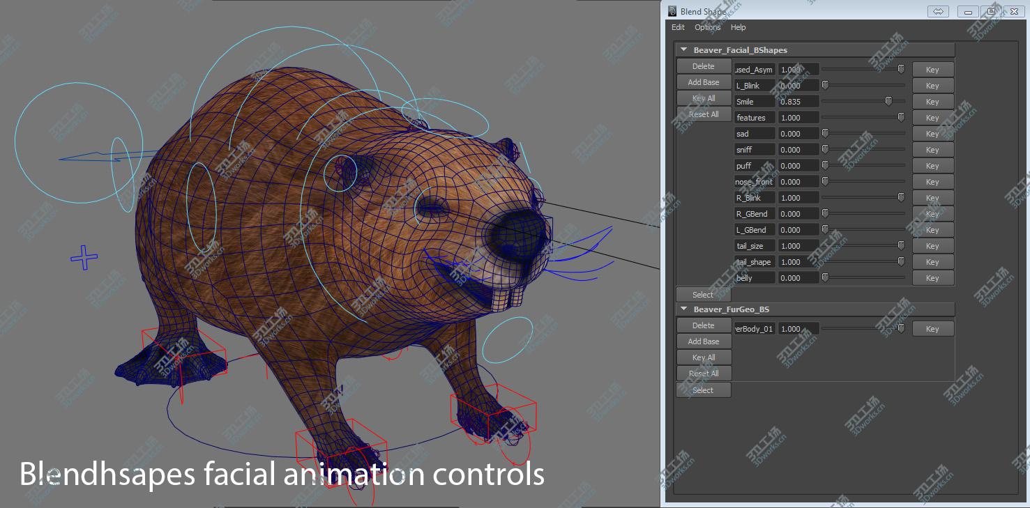 images/goods_img/2021040162/Beaver Realistic/3.jpg